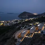 فيلة Apia