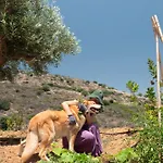 Apia فيلة نافبليو