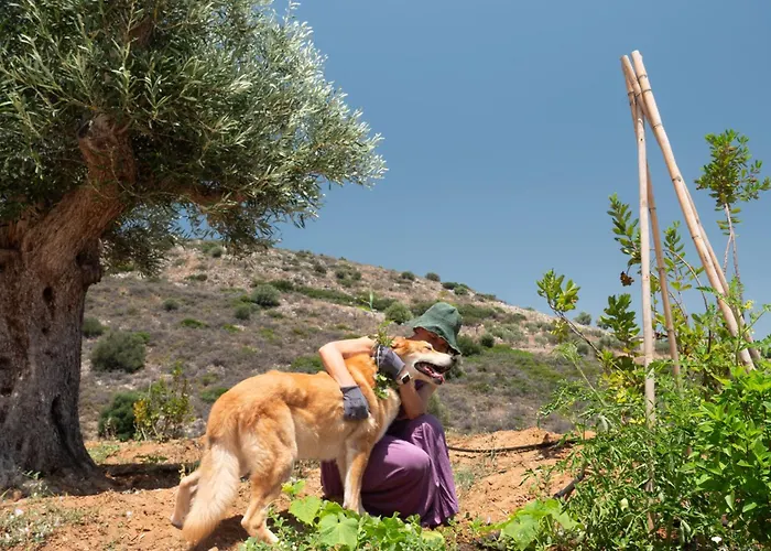 Apia Βίλα Ναύπλιο